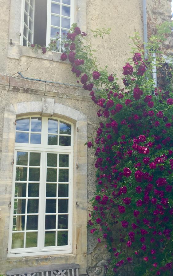 L'Orangerie du Grand Jardin Villa Conde-sur-Seulles Luaran gambar